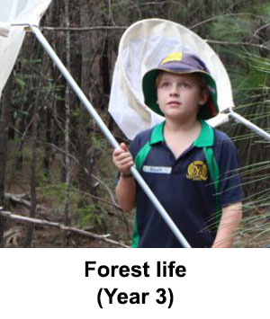 forest life program