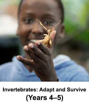 invertebrates program