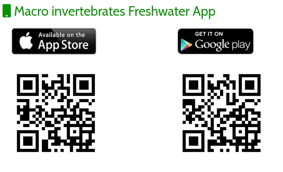 get the macroinvertebrates Freshwater app