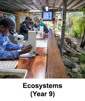 ecosystems program
