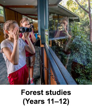 forest studies program