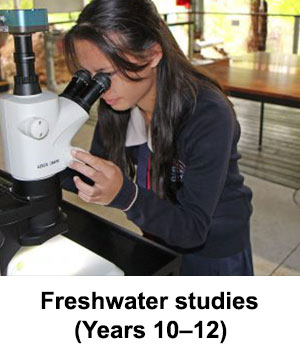 freshwater studies program