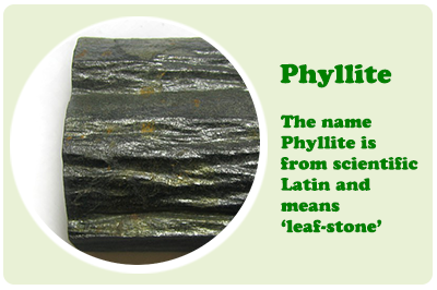 phyllite