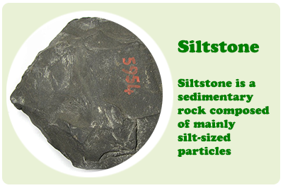 siltstone